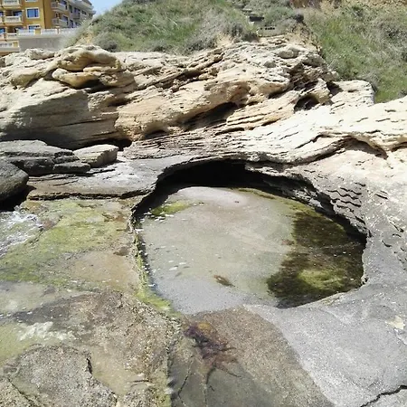 лесо-зара студио רבדה