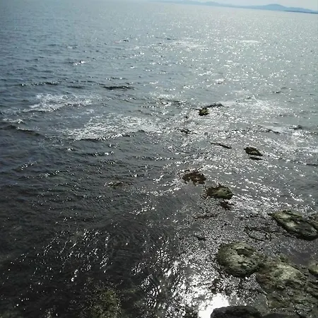 Apartamento лесо-зара студио Ravda