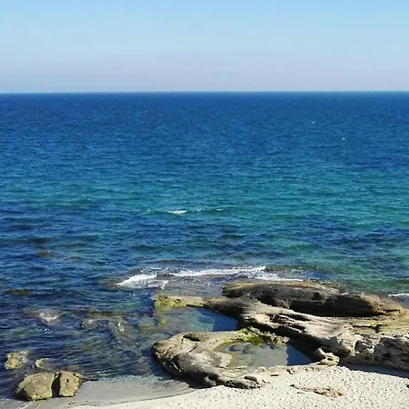 лесо-зара студио * Ravda