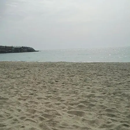 лесо-зара студио