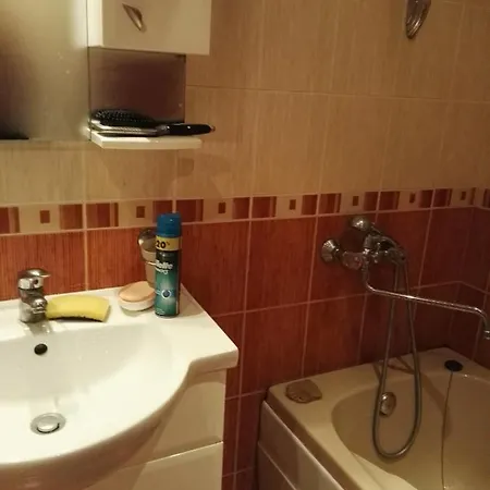 лесо-зара студио *