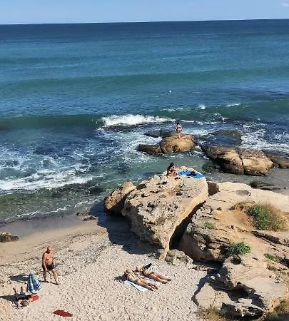 лесо-зара студио *