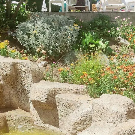 лесо-зара студио Apartamento