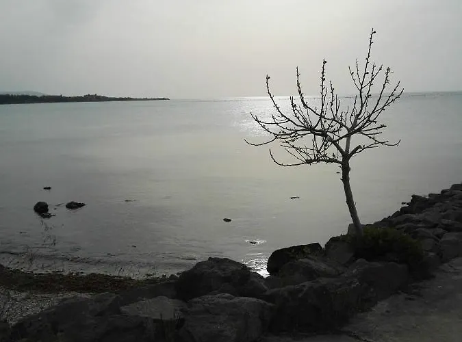 лесо-зара студио Appartement Ravda