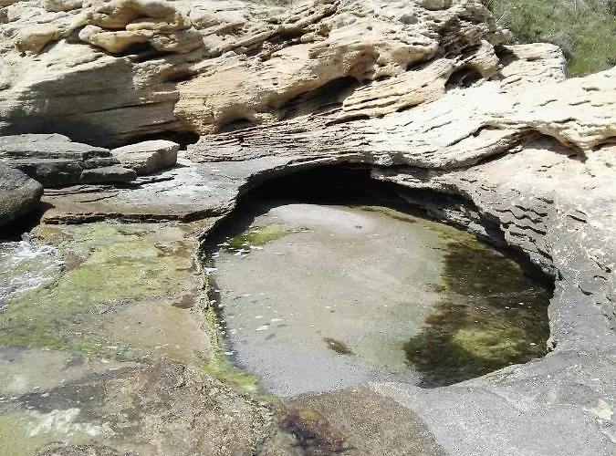 лесо-зара студио Ravda