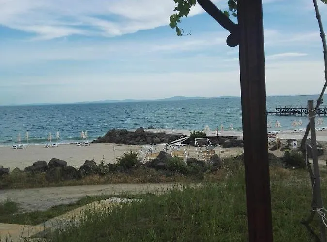 лесо-зара студио *