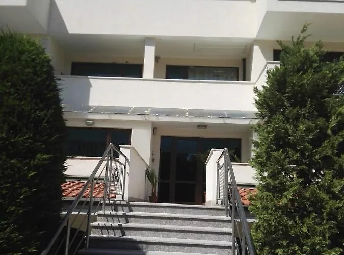 лесо-зара студио Ravda