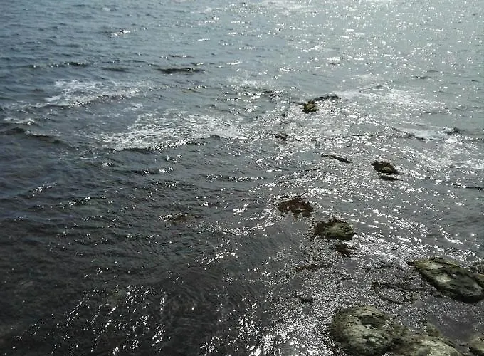 Appartement лесо-зара студио Ravda