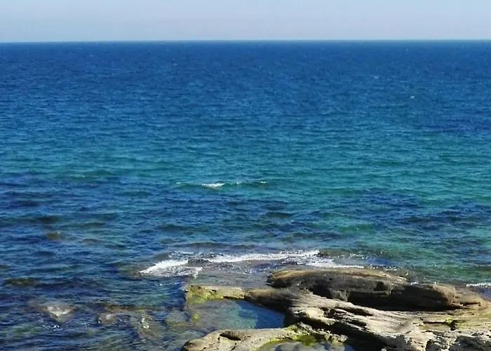 лесо-зара студио * Ravda