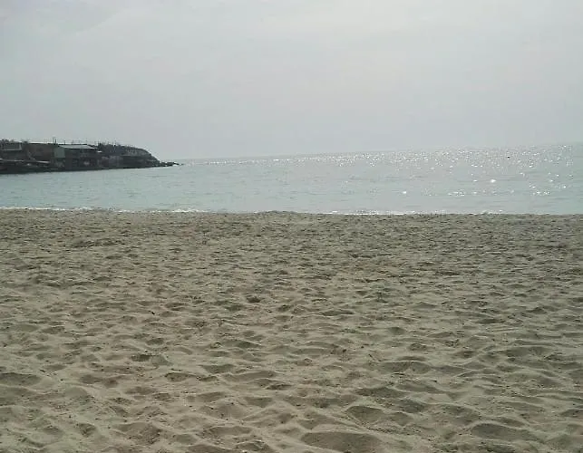 лесо-зара студио