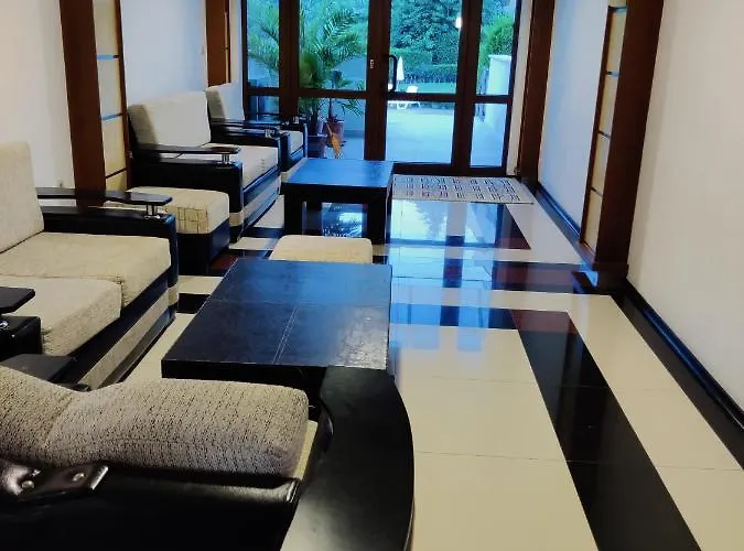 лесо-зара студио