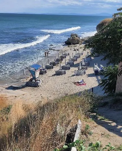 лесо-зара студио Ravda