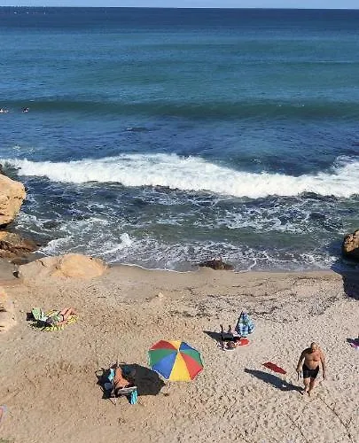 лесо-зара студио Ravda